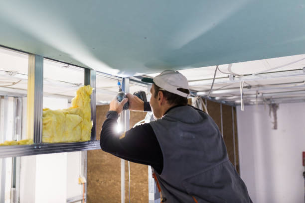 Best Residential Insulation Services  in Glencoe, AL